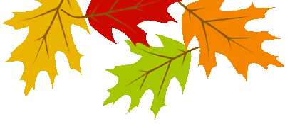 Big Leaves